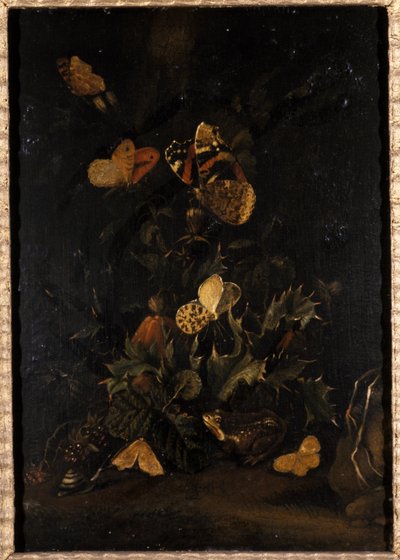 Fleurs avec papillons et crapaud - Johann Christian Thomas Winck