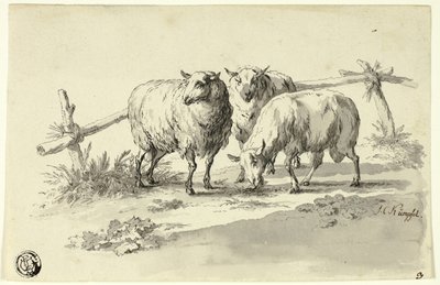 Moutons - Johann Christoph Kimpfel