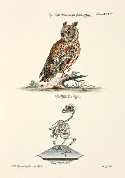  - Johann Daniel Meyer