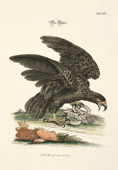  - Johann Daniel Meyer