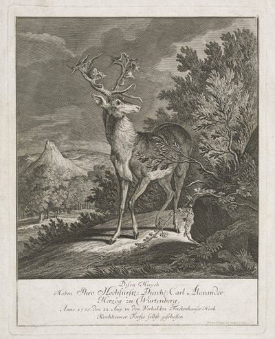 Un magnifique cerf dans un paysage - Johann Elias Ridinger