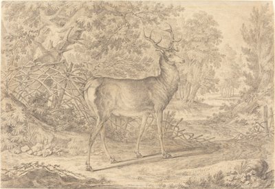 Un jeune cerf splendide devant une clôture en osier - Johann Elias Ridinger