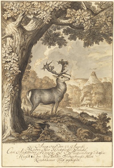 Un cerf sous un chêne majestueux - Johann Elias Ridinger