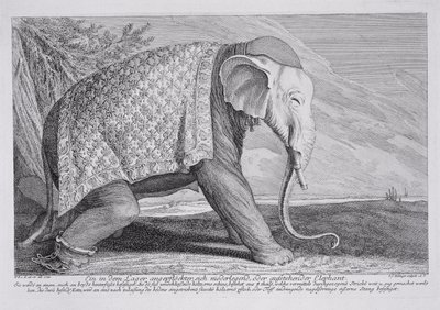 Un éléphant - Johann Elias Ridinger or Riedinger