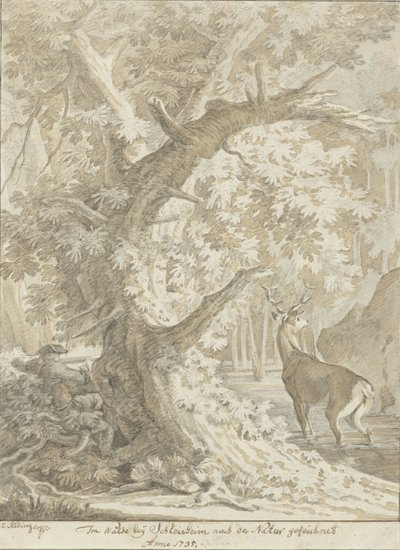 Chasseur visant un cerf dans l
