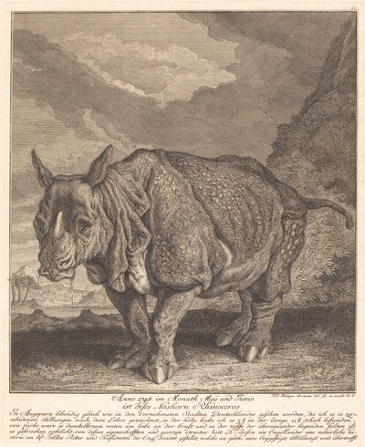 Rhinocéros - Johann Elias Ridinger