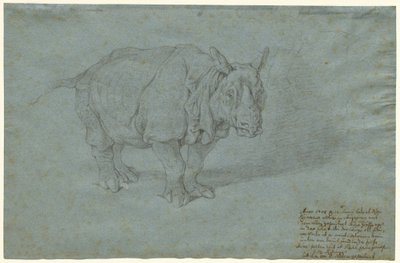 Le rhinocéros "Miss Clara" - Johann Elias Ridinger
