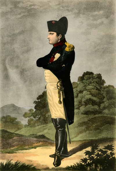 Napoléon, empereur des Français et roi d
