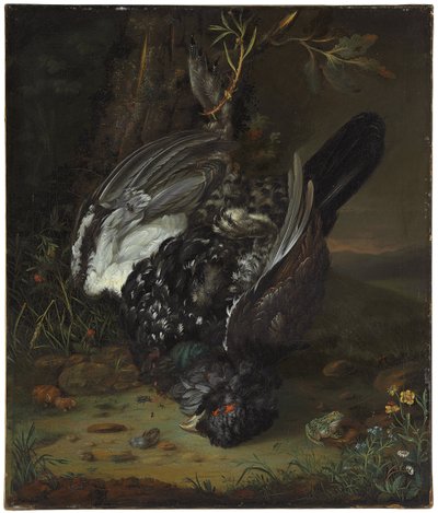 Un coq de bruyère dans un paysage boisé, 1747 - Johann Friedrich von Grooth