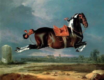 Le cheval pie 