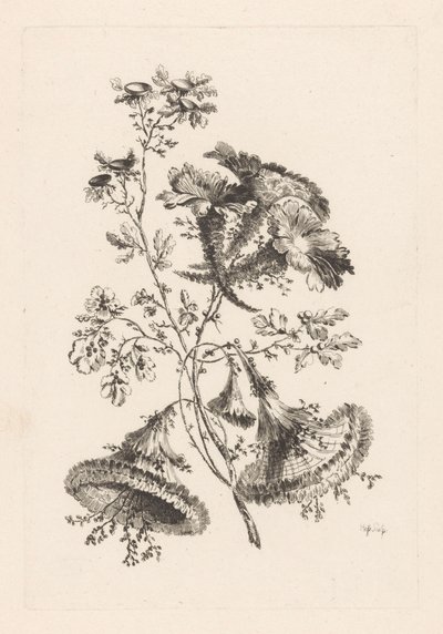 Fleurs triangulaires - Johann Heinrich  Hess