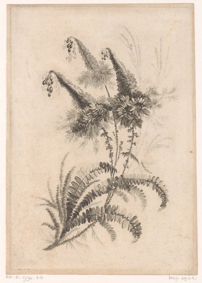 Fleurs pointues - Johann Heinrich  Hess
