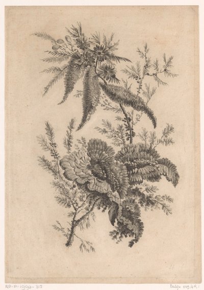 Roses sauvages (Recueil De Nouvelles Fleurs De Goût; Pour la Manufacture des Etoffes de Perse) - Johann Heinrich  Hess