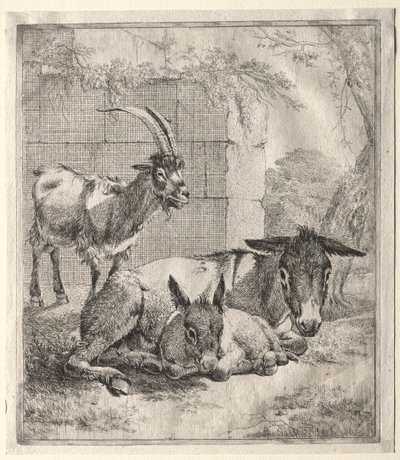 Chèvre et Ânes - Johann Heinrich Roos