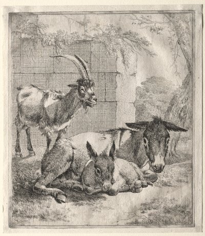 Chèvre et ânes - Johann Heinrich Roos