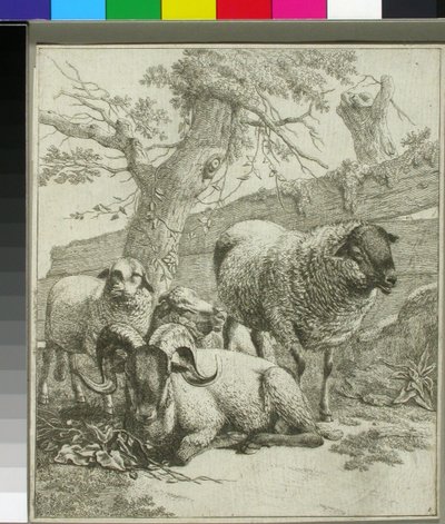 Ohne Titel - Johann Heinrich Roos