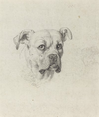 Un boxeur - Johann Heinrich Wilhelm Tischbein