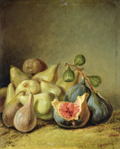 Nature morte aux fruits - Johann Heinrich Wilhelm Tischbein