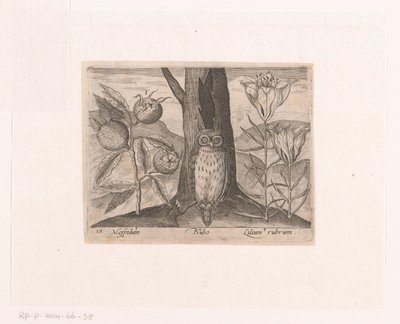 Série de gravures avec fleurs et animaux dans un paysage - Johann Hogenberg