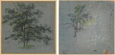 Deux arbres (recto) Études d