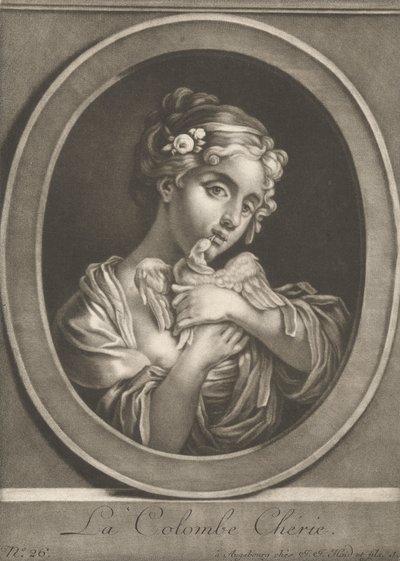 La colombe chérie - Johann Jacobus Haid