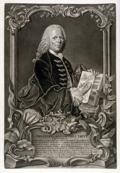 C. J. Trew, botaniste, pub. c.1768 - Johann Jakob Haid