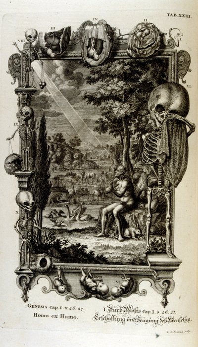 Gravure sur cuivre de 