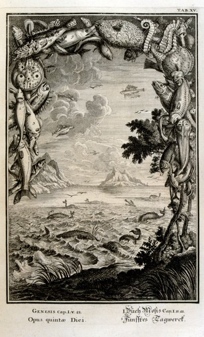 Gravure sur cuivre de 