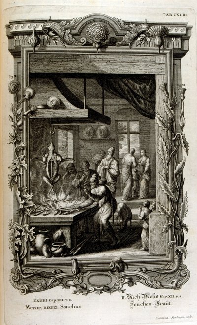 Illustration de Physique sacrée, ou Histoire-naturelle de la Bible - Johann Jakob Scheuchzer