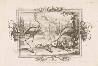 Deux flamants - Johann Jakob Stelzer