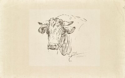Tête de taureau - Johann Josef Schindler