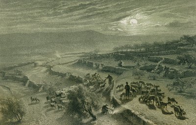 La Vallée des Bergers à Bethléem - Johann Martin Bernatz