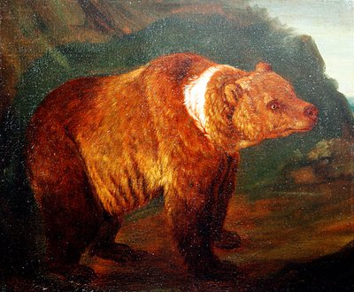 Un ours brun dans un paysage, c.1719 - Johann Melchior Roos