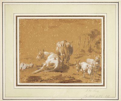 Paysage avec vaches et chèvres - Johann Melchior Roos