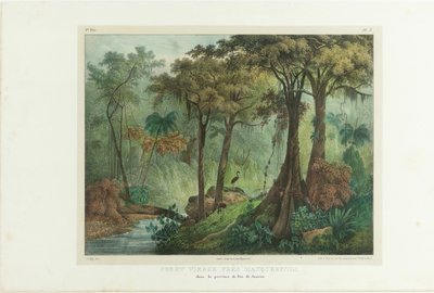Forêt vierge près de Manqueritipa. De Malerische Reise in Brasilien - Johann Moritz Rugendas