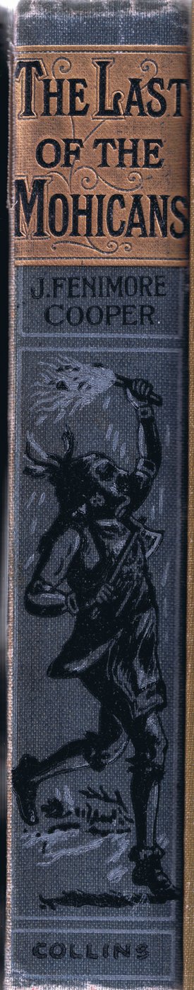 Conception de la colonne vertébrale - Johann Nepomuk Schonberg