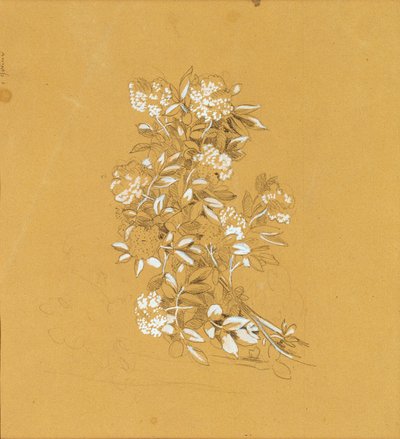 Bouquet de fleurs - Johann Peter Krafft