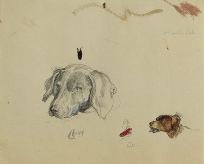 Étude de chien - Johann Peter Krafft