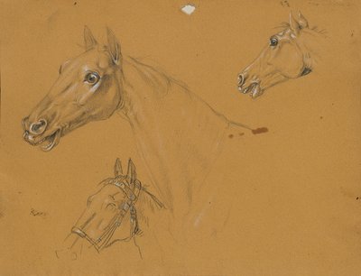 Étude de cheval pour "L