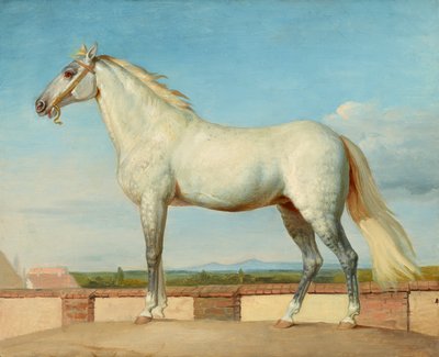 Cheval devant un mur bas - Johann Peter Krafft