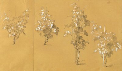 Vigne, étude pour "Hermann et Dorothea dans le vignoble" - Johann Peter Krafft