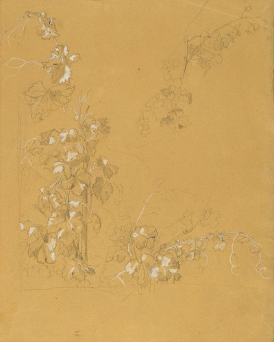 Vigne, étude pour "Hermann et Dorothée dans le vignoble" - Johann Peter Krafft