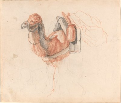 Chameau - Johann Rudolph Schellenberg