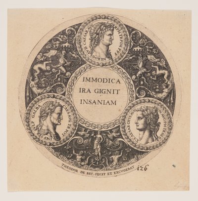 Immodica Ira Gignit Insaniam, Design pour l