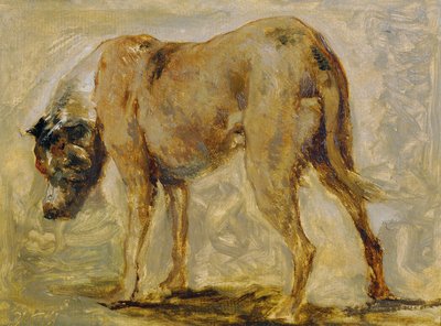 Dogge brune - Johann  Till der Jüngere