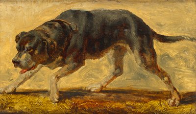 Étude de chien - Johann  Till der Jüngere