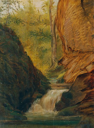 Ruisseau forestier - Johann  Till der Jüngere