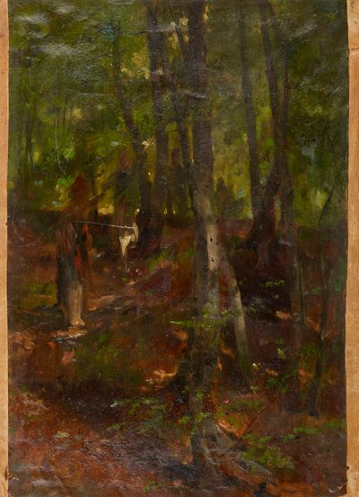 Paysage forestier - Johann  Till der Jüngere