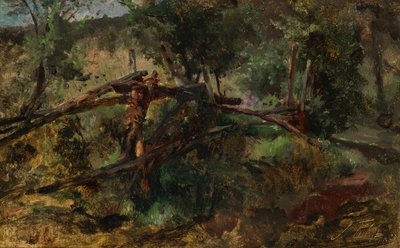Chemin forestier avec clôture - Johann  Till der Jüngere