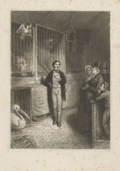 Animaux regardant - Johann Wilhelm Kaiser (I)